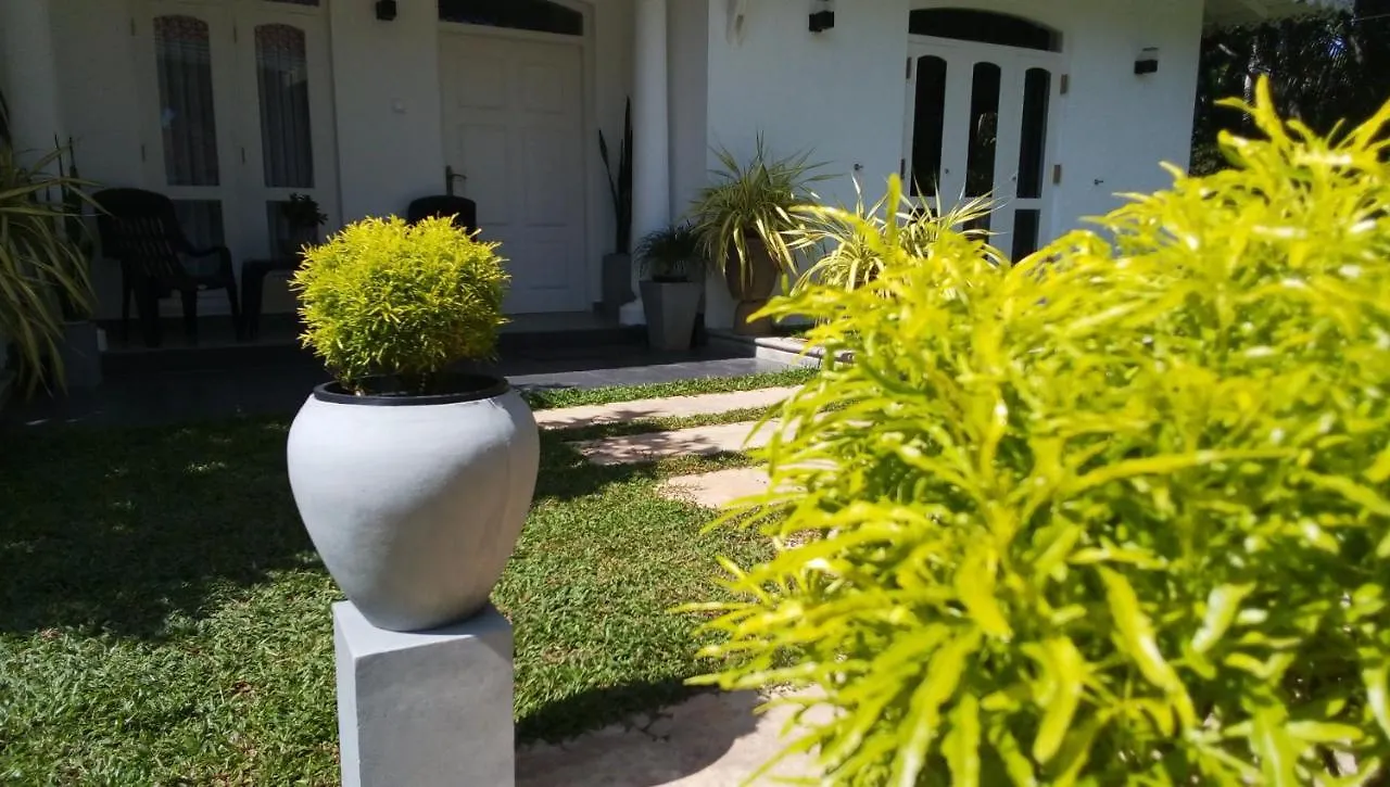 Green Grass Garden Apartamento Negombo