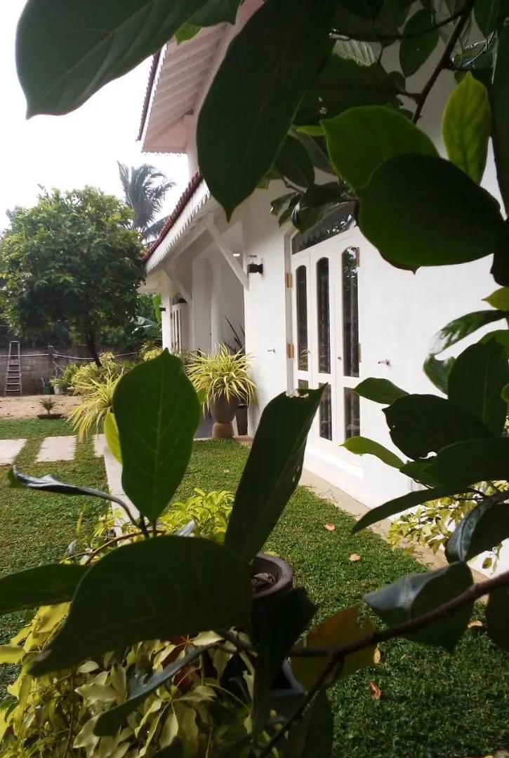 Green Grass Garden Apartamento Negombo