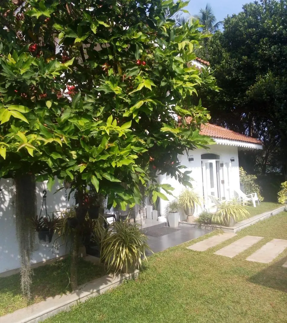 Green Grass Garden Apartamento Negombo Habitación en casa particular