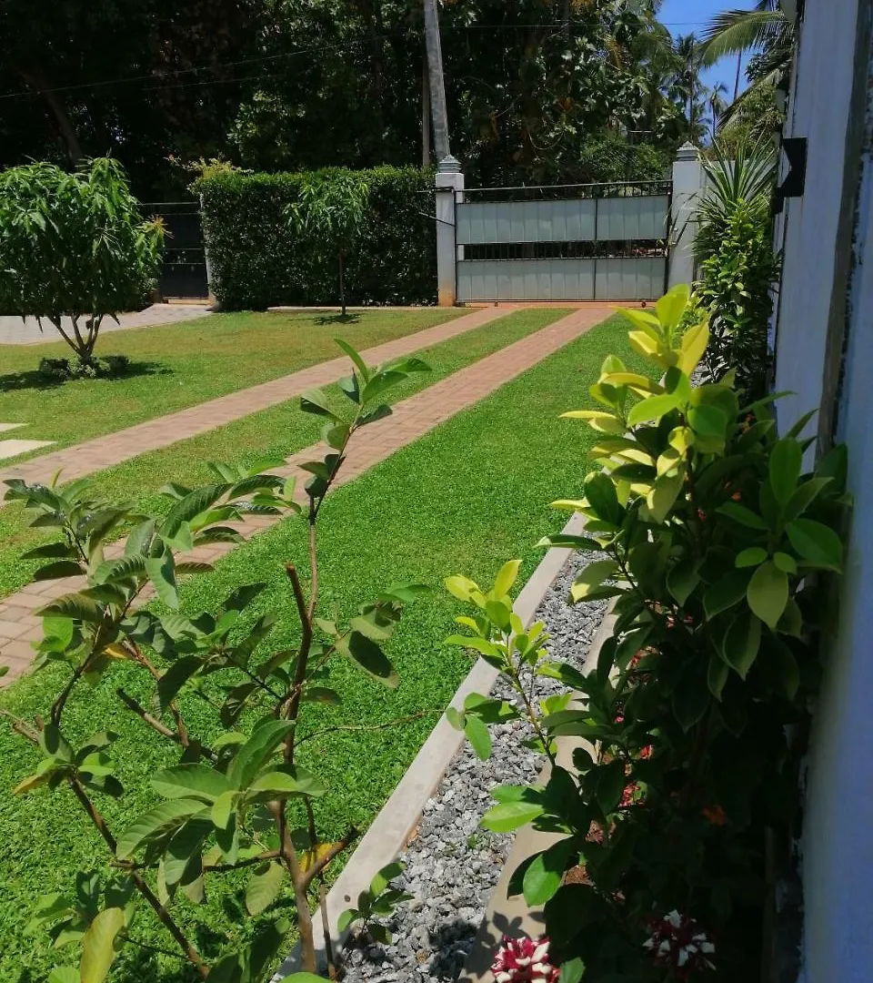 Green Grass Garden Apartamento Negombo Sri Lanka